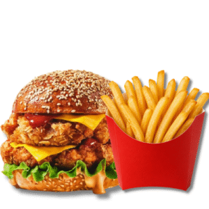 Chicken Burger with Fries